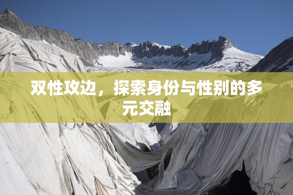双性攻边，探索身份与性别的多元交融