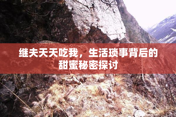 继夫天天吃我，生活琐事背后的甜蜜秘密探讨