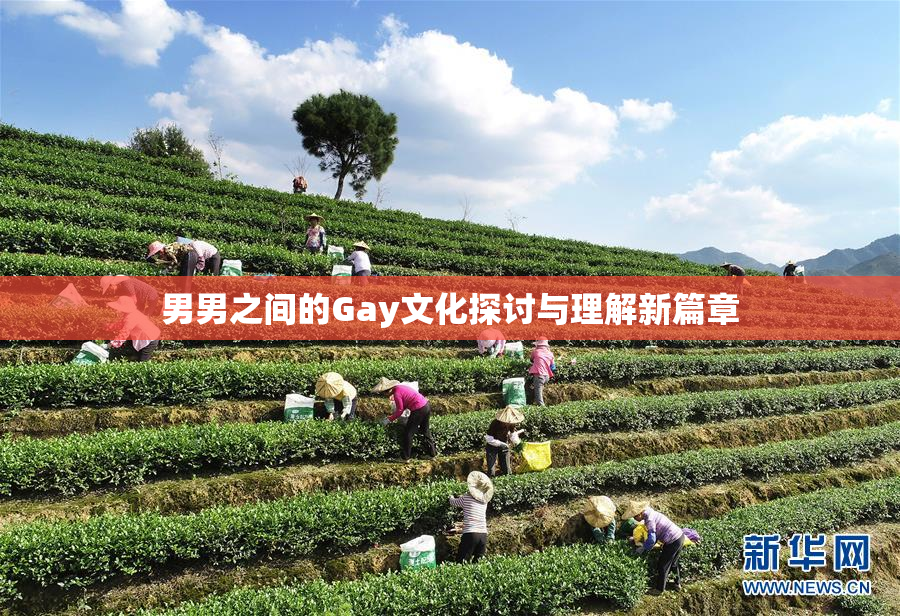 男男之间的Gay文化探讨与理解新篇章