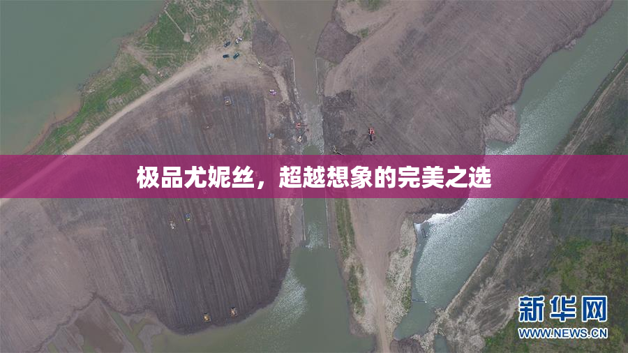极品尤妮丝，超越想象的完美之选