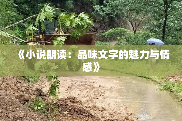 《小说朗读：品味文字的魅力与情感》