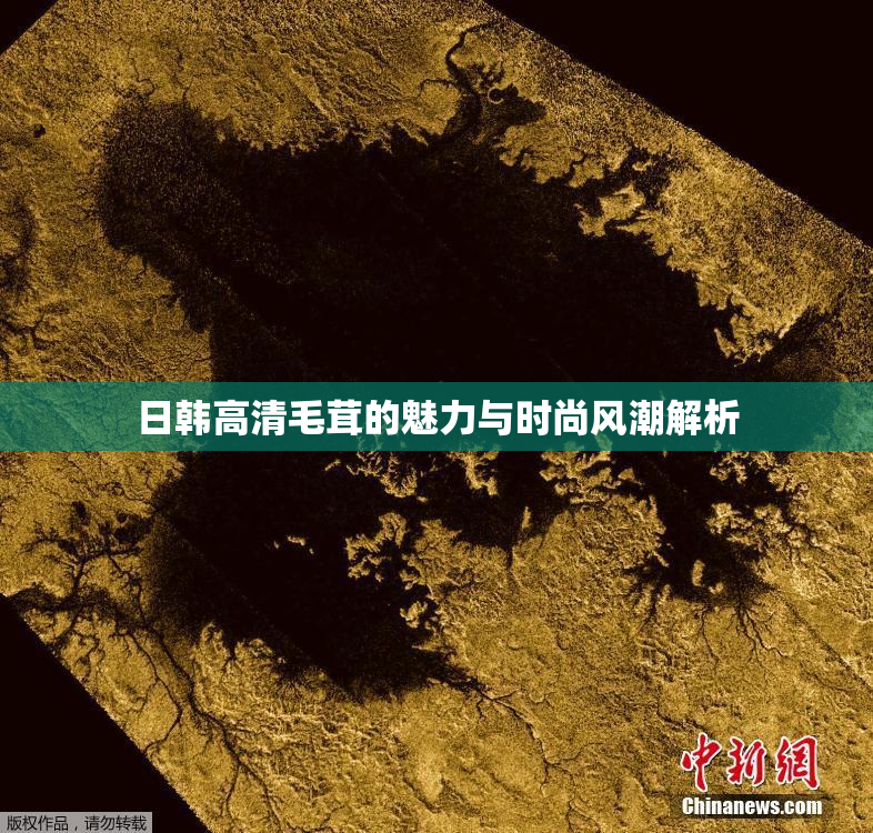 日韩高清毛茸的魅力与时尚风潮解析