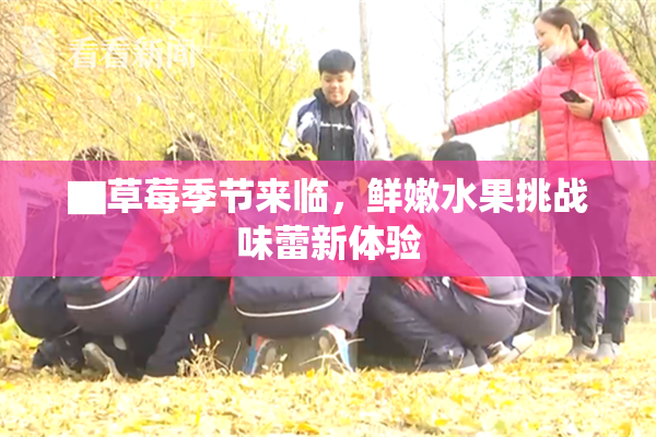 ▇草莓季节来临，鲜嫩水果挑战味蕾新体验