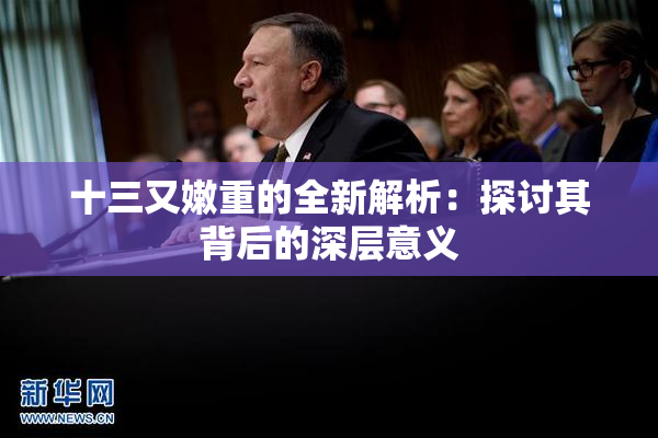 十三又嫩重的全新解析：探讨其背后的深层意义