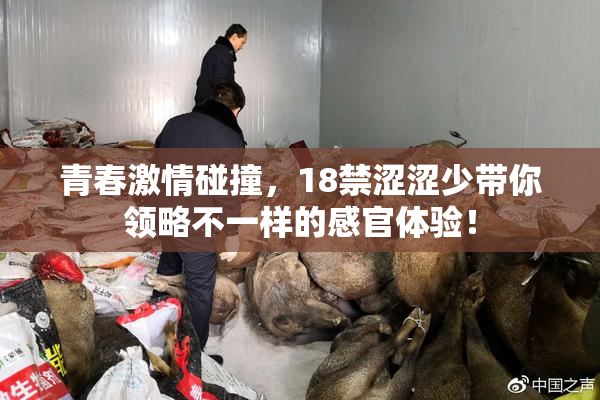 青春激情碰撞，18禁涩涩少带你领略不一样的感官体验！
