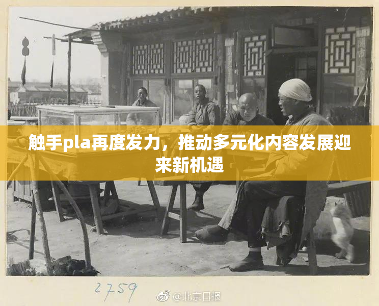 触手pla再度发力，推动多元化内容发展迎来新机遇
