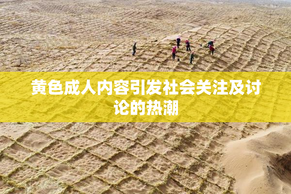 黄色成人内容引发社会关注及讨论的热潮