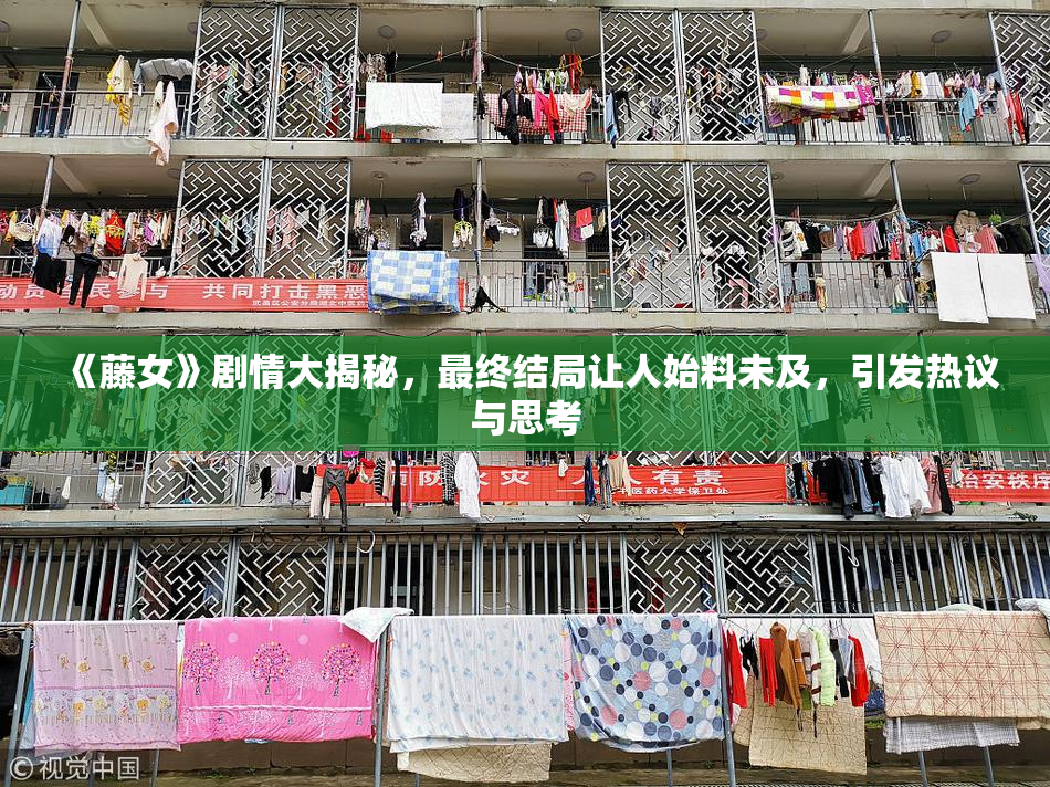 《藤女》剧情大揭秘，最终结局让人始料未及，引发热议与思考
