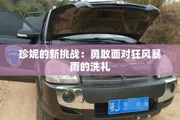 珍妮的新挑战：勇敢面对狂风暴雨的洗礼