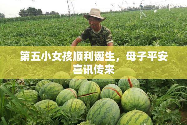 第五小女孩顺利诞生，母子平安喜讯传来