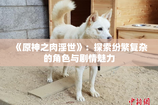 《原神之肉淫世》：探索纷繁复杂的角色与剧情魅力