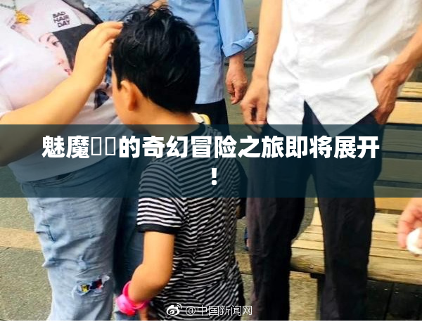 魅魔妺妺的奇幻冒险之旅即将展开！