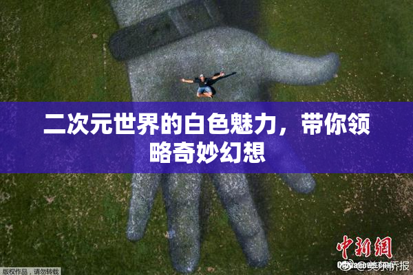二次元世界的白色魅力，带你领略奇妙幻想