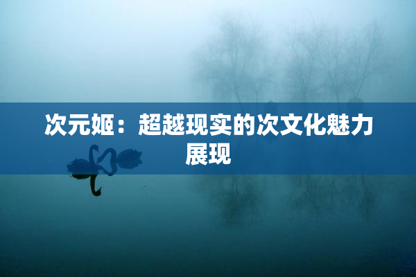 次元姬：超越现实的次文化魅力展现