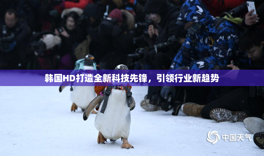 韩国HD打造全新科技先锋，引领行业新趋势