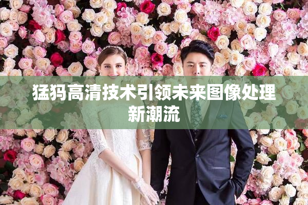 猛犸高清技术引领未来图像处理新潮流