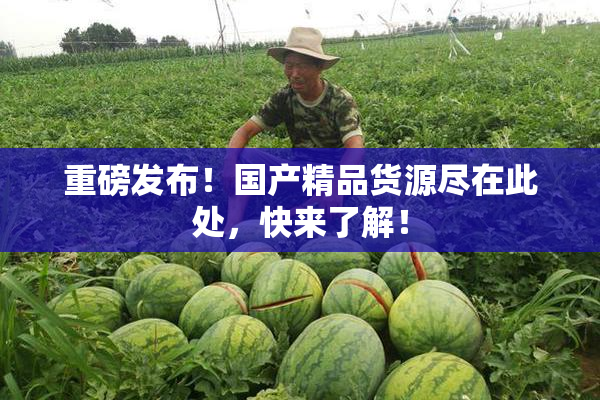 重磅发布！国产精品货源尽在此处，快来了解！