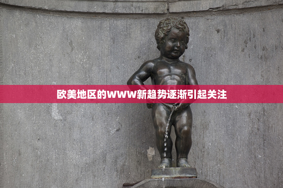 欧美地区的WWW新趋势逐渐引起关注