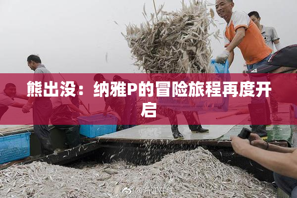 熊出没：纳雅P的冒险旅程再度开启