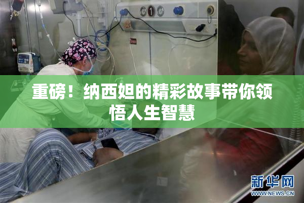 重磅！纳西妲的精彩故事带你领悟人生智慧