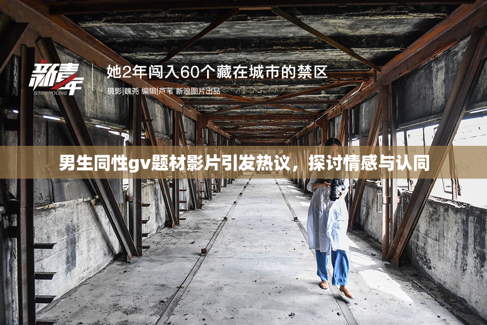 男生同性gv题材影片引发热议，探讨情感与认同