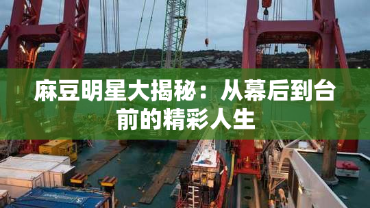 麻豆明星大揭秘：从幕后到台前的精彩人生