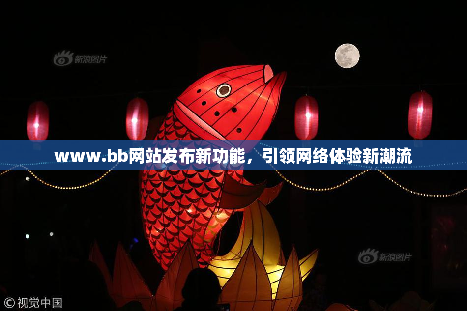 www.bb网站发布新功能，引领网络体验新潮流