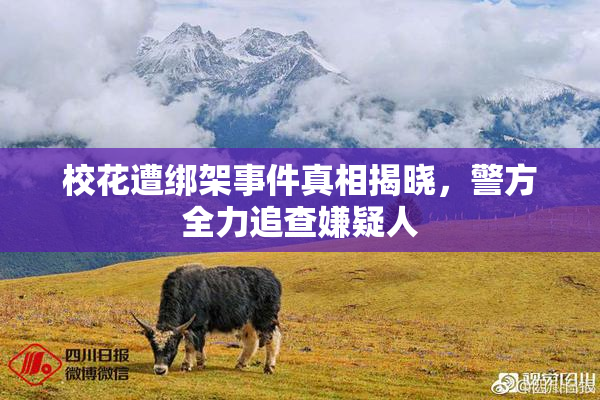 校花遭绑架事件真相揭晓，警方全力追查嫌疑人