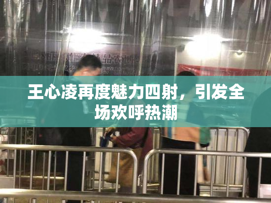 王心凌再度魅力四射，引发全场欢呼热潮