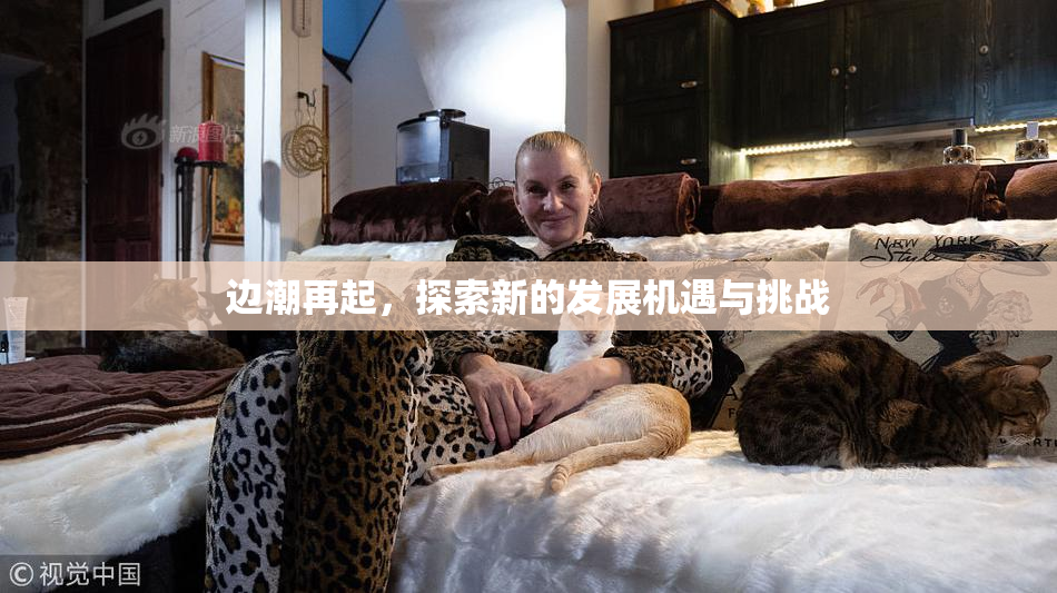 边潮再起，探索新的发展机遇与挑战