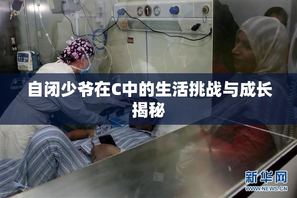 自闭少爷在C中的生活挑战与成长揭秘