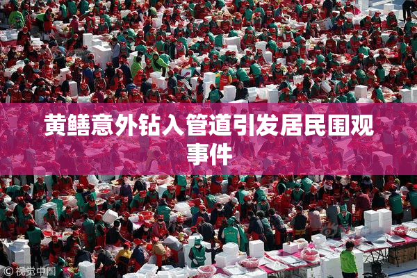 黄鳝意外钻入管道引发居民围观事件