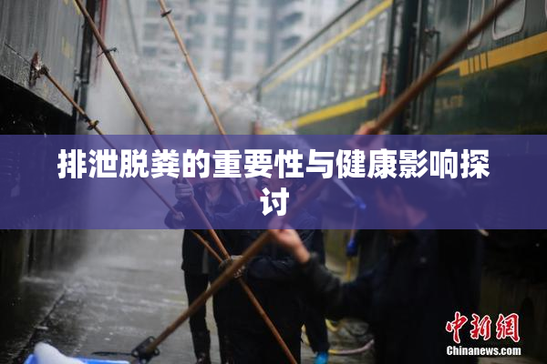 排泄脱粪的重要性与健康影响探讨