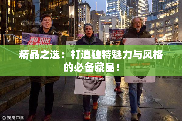 精品之选：打造独特魅力与风格的必备藏品！