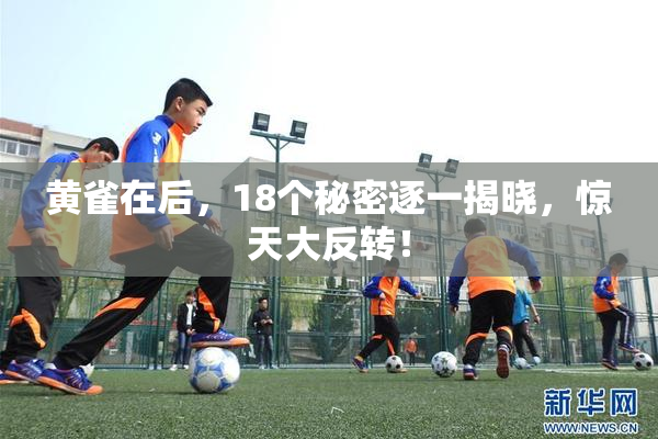 黄雀在后，18个秘密逐一揭晓，惊天大反转！
