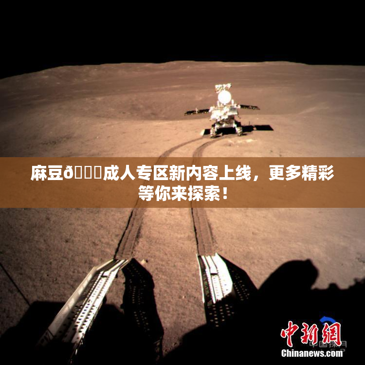 麻豆🔞成人专区新内容上线，更多精彩等你来探索！