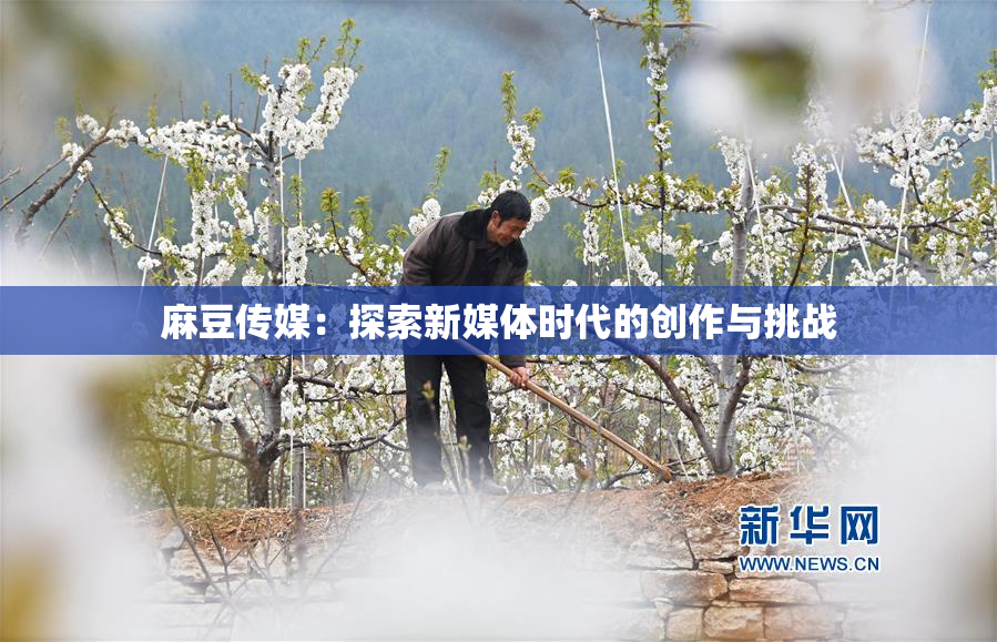 麻豆传媒：探索新媒体时代的创作与挑战