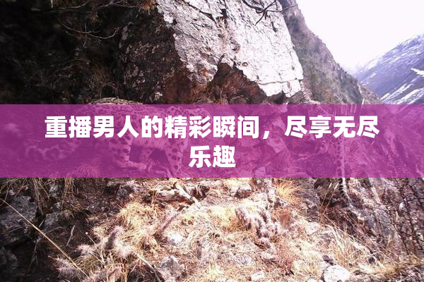 重播男人的精彩瞬间，尽享无尽乐趣