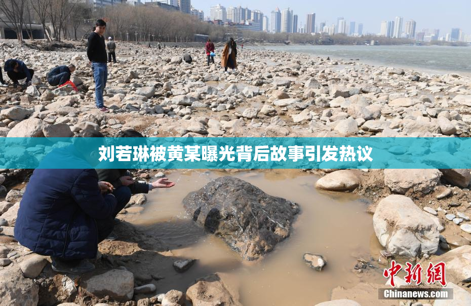 刘若琳被黄某曝光背后故事引发热议