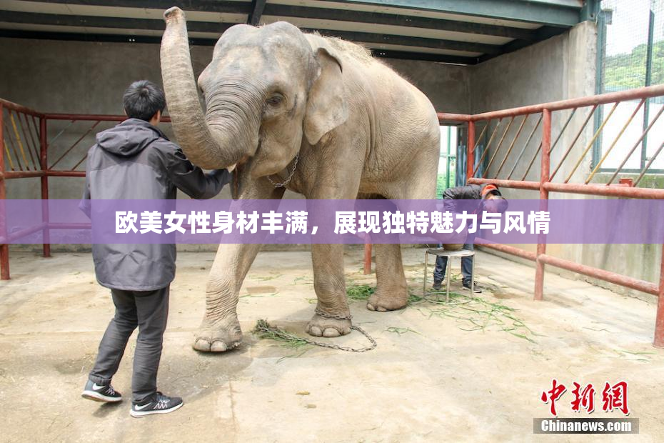 欧美女性身材丰满，展现独特魅力与风情