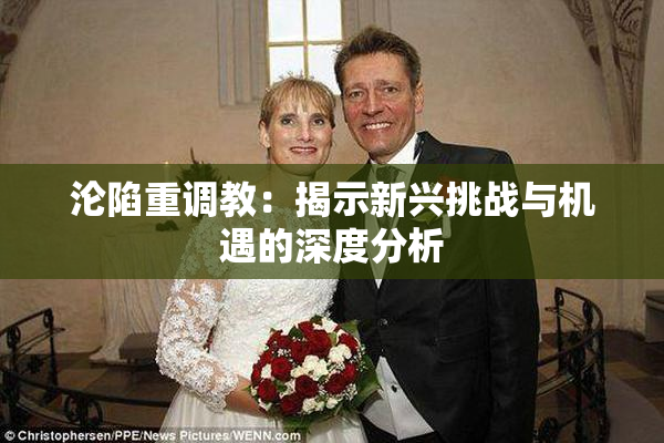 沦陷重调教：揭示新兴挑战与机遇的深度分析