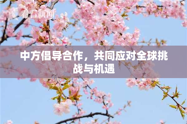 中方倡导合作，共同应对全球挑战与机遇