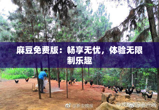 麻豆免费版：畅享无忧，体验无限制乐趣