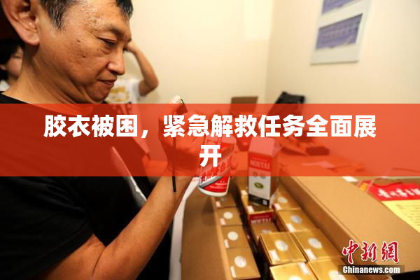 胶衣被困，紧急解救任务全面展开
