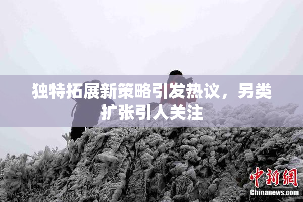 独特拓展新策略引发热议，另类扩张引人关注
