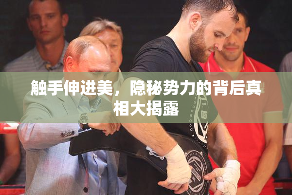 触手伸进美，隐秘势力的背后真相大揭露
