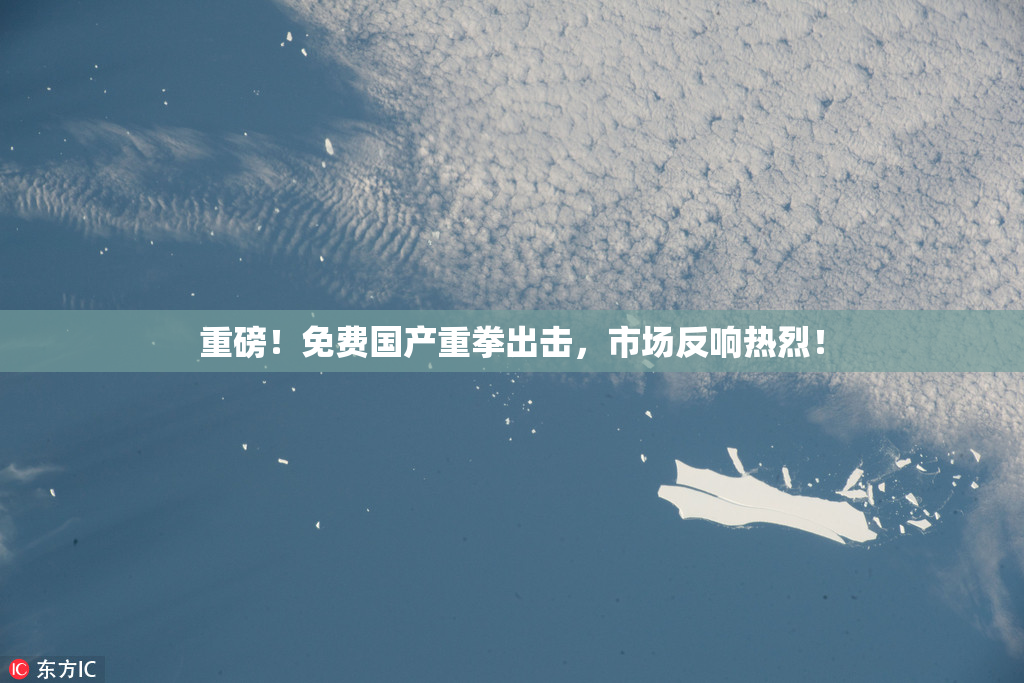 重磅！免费国产重拳出击，市场反响热烈！