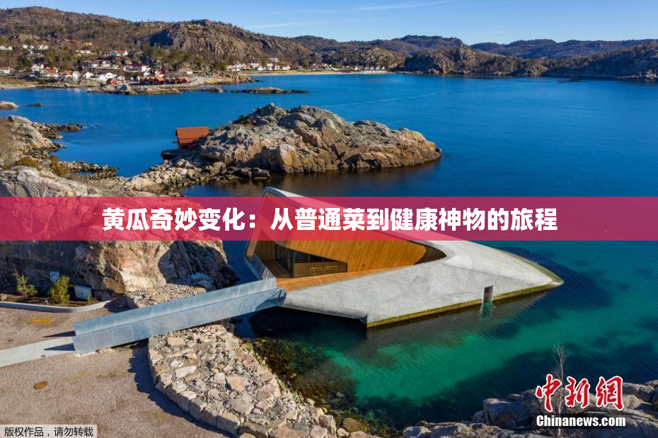 黄瓜奇妙变化：从普通菜到健康神物的旅程