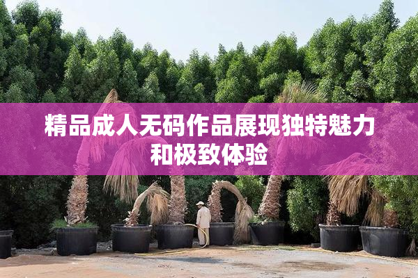 精品成人无码作品展现独特魅力和极致体验