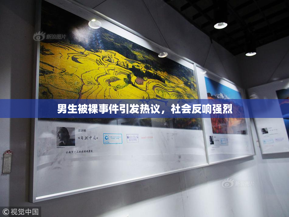 男生被裸事件引发热议，社会反响强烈
